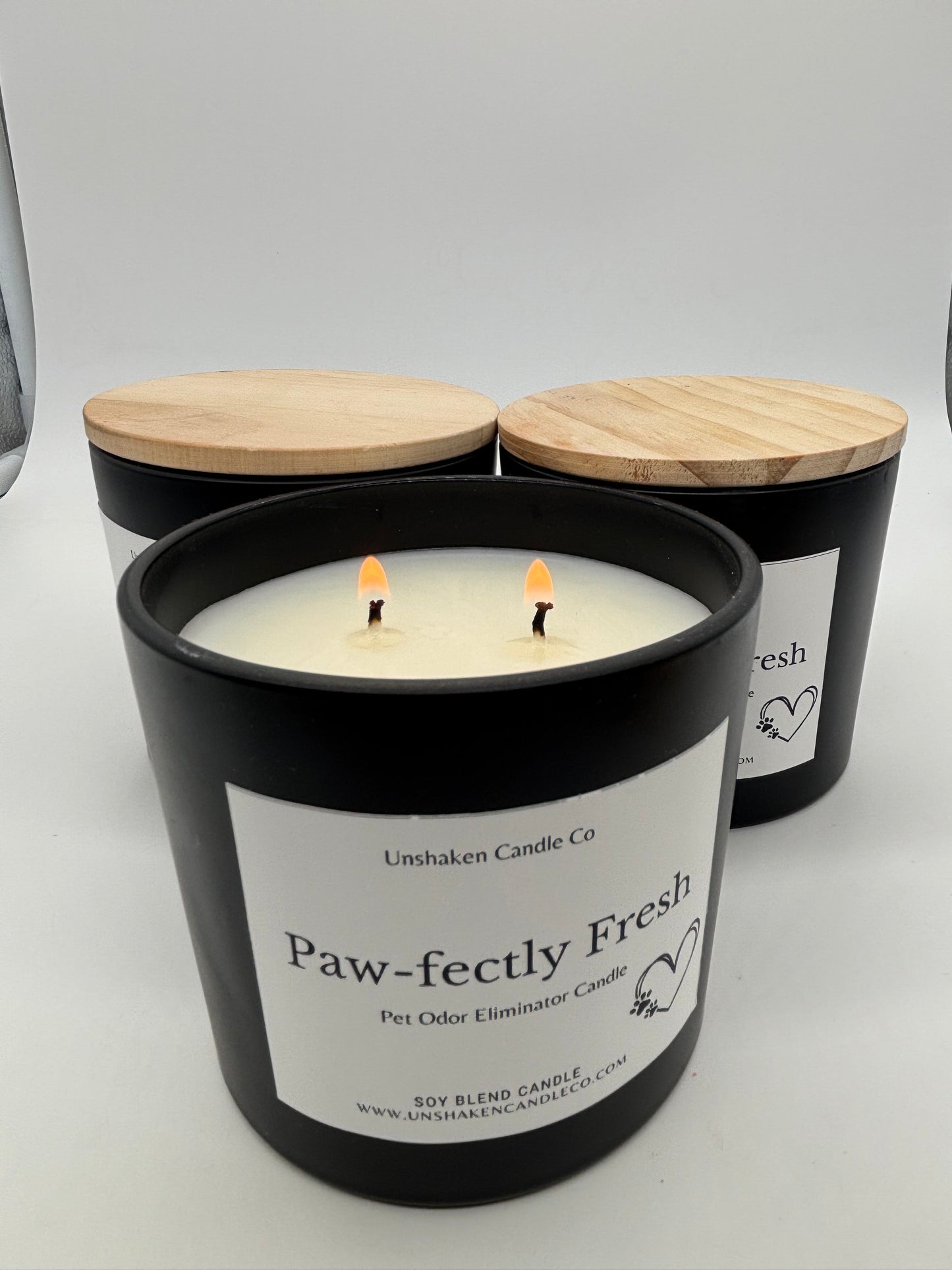 Paw-fectly Fresh – Pet Odor Eliminator Candle (8 oz)