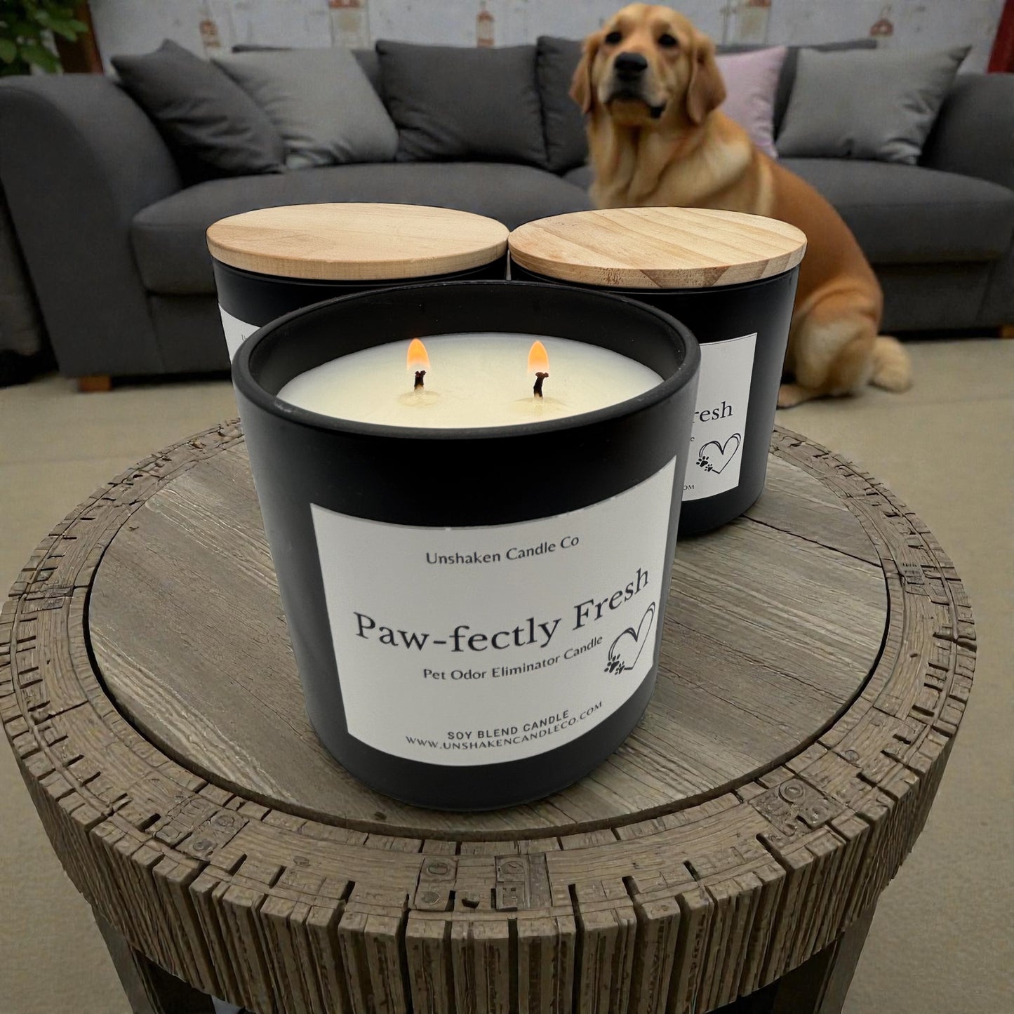 Paw-fectly Fresh – Pet Odor Eliminator Candle (8 oz)